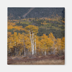Hart Prairie Magneet