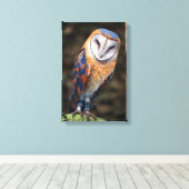 Hart-Shaped Face Barn Owl Canvas Afdruk (Insitu (Houten vloer))