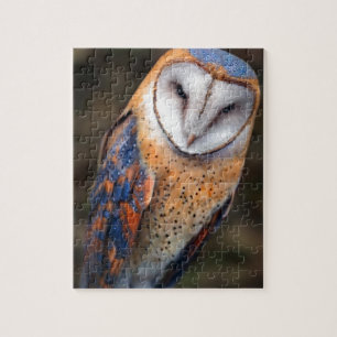 Hart-Shaped Face Barn Owl Legpuzzel