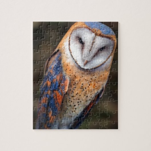 Hart-Shaped Face Barn Owl Legpuzzel (Verticaal)