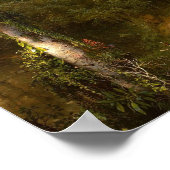 Hart van het Poster Andes 1859 (Hoek)