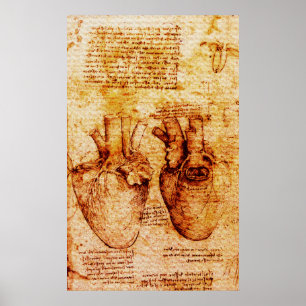 Hart, zijn bloedvaten, Leonardo Da Vinci Brown Poster