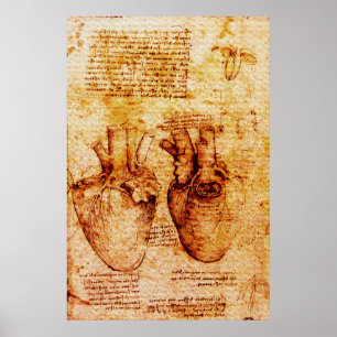 Hart, zijn bloedvaten, Leonardo Da Vinci Bruin Poster