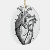  hartanatomie |  keramisch ornament (Rechts)
