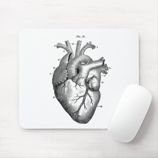  hartanatomie |  muismat (Met muis)