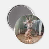 Hartbreekster Magnet Magneet (Voorkant / Achterkant)