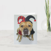 Hartelijk Bedankt (Voorkant)