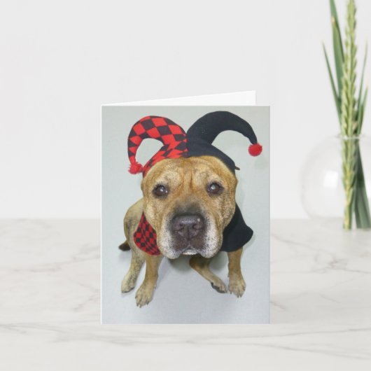 Hartelijk Bedankt (Voorkant)