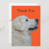 Hartelijk bedankt voor de Poolse Tatra Dog (Voorkant / Achterkant)