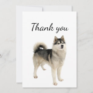Hartelijk dank, Amerikaans Eskimo Malamute Dog Pet Bedankkaart