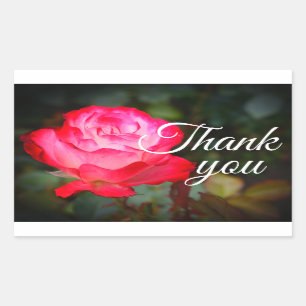Hartelijk dank, Cherry Parfait Roos #3 Stickers