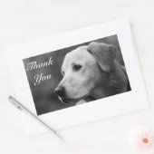 Hartelijk dank, gele labrador Retriever Sticker (Envelop)