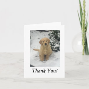 Hartelijk dank - Golden Retriever Bedankkaart
