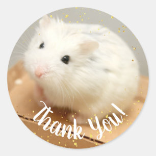 Hartelijk dank - Hammyville White Hamster Square S Ronde Sticker