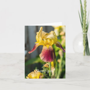 Hartelijk dank - Heirloom Iris Bedankkaart