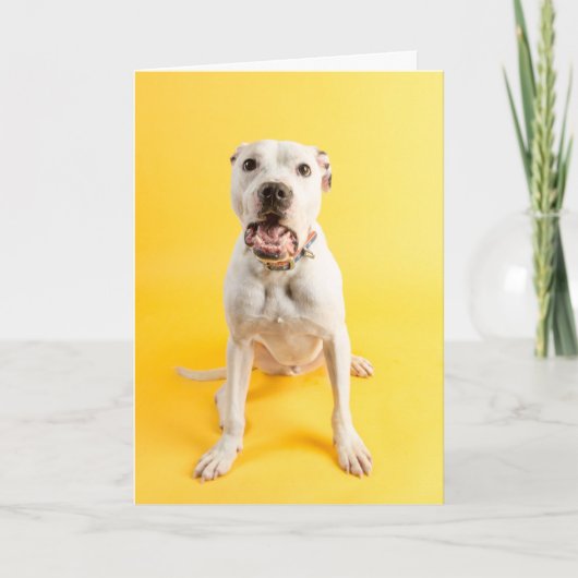 Hartelijk dank kaart (Voorkant)