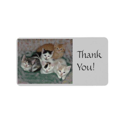 Hartelijk dank!/Katten Etiket (Voorkant)