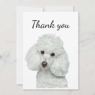 Hartelijk dank, mevrouw White Podle Dog Pet Animal Bedankkaart