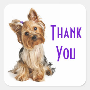 Hartelijk dank, mevrouw Yorkshire Terrier Puppy Do Vierkante Sticker