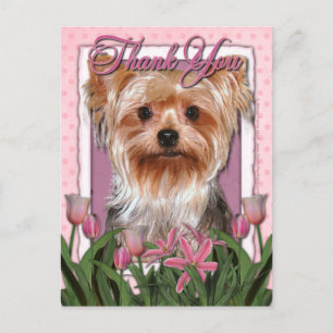 Hartelijk dank - Roze Tulips - Yorkshire Terrier Briefkaart