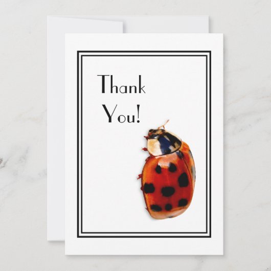 Hartelijk dank voor grafisch gepolijst Ladybug Kaart (Voorkant)
