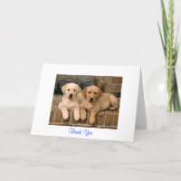 Hartelijk dank voor het Wenskaart Puppies voor ter
