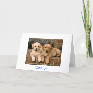 Hartelijk dank voor het Wenskaart Puppies voor ter Bedankkaart