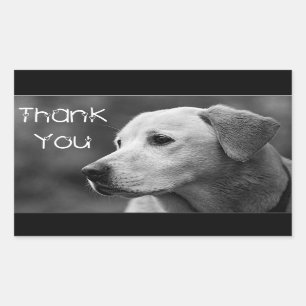 Hartelijk dank voor Labrador Retriever Puppy Dog S Rechthoekige Sticker