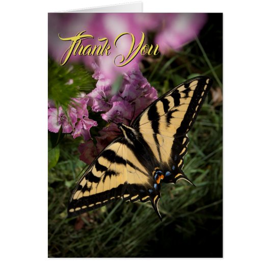 Hartelijk dank voor uw doorgeslikte vlinderroze zo (Voorkant)