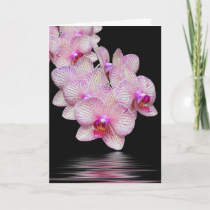 Hartelijk dank voor uw orchidee-sympathiekaart kaart