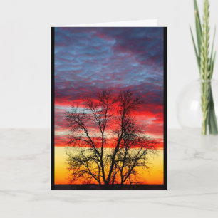 Hartelijk dank voor uw service aan ons land bedankkaart