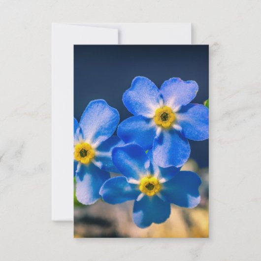 Hartelijk dank voor uw vriendelijkheid Hartelijk d Bedankkaart (Voorkant)