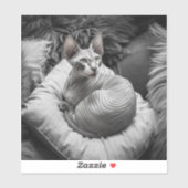 Harteloos Sticker (Vel)