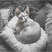 Harteloos Sticker (Voorkant)