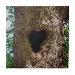 Hartenboom Tegeltje