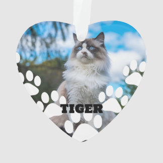Hartige acryl ornament met kattenfoto en naam