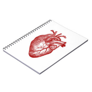 Hartige Anatomie van het Hart Notitieboek