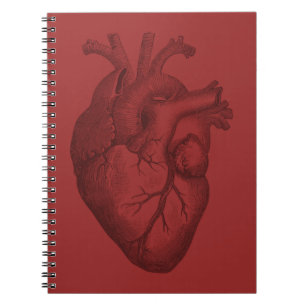 hartillustratie notitieboek