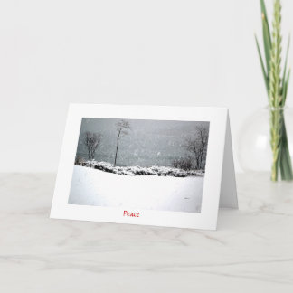 Hartley Mason Park - Carte de vacances - Paix