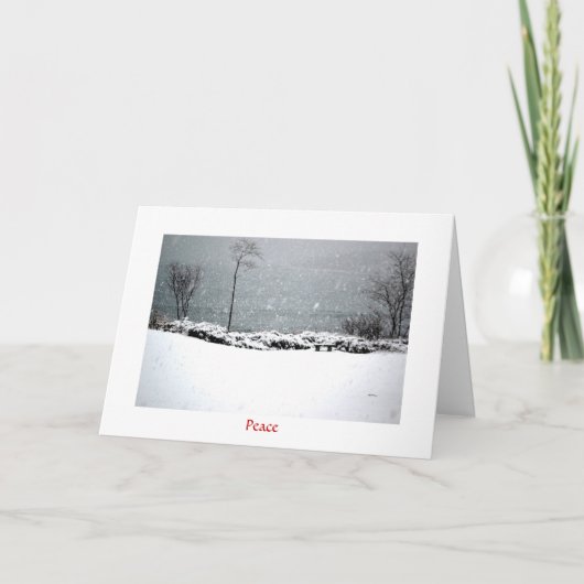 Hartley Mason Park - Vakantie Kaart - Vrede (Voorkant)