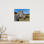 Hartmann's Mountain Zebra Profile aan Fossil Rim Poster (Keuken)