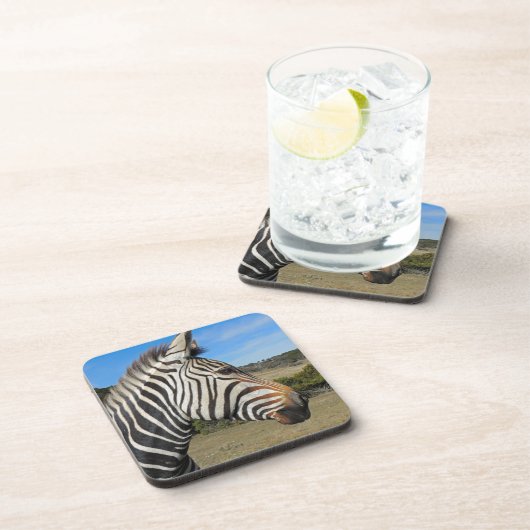 Hartmann's Zebra Profiel op Fossil Rim Drankjes Onderzetter (Rechterzijde)