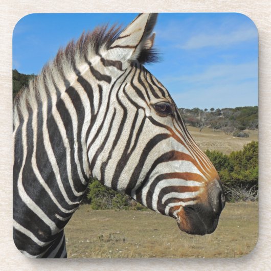 Hartmann's Zebra Profiel op Fossil Rim Drankjes Onderzetter (Voorkant)