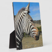 Hartmann's Zebra Profiel op Fossil Rim Fotoplaat (Zijkant)