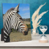 Hartmann's Zebra Profiel op Fossil Rim Fotoplaat (Zijkant)