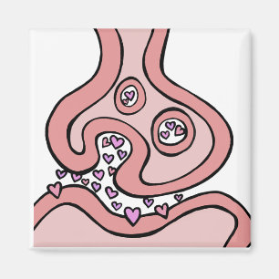 Hartneurotransmitters Magnet Magneet