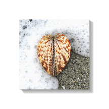 Hartslag op de strand