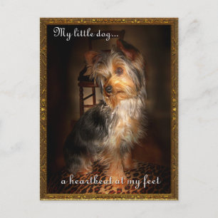 Hartslag op mijn voeten briefkaart