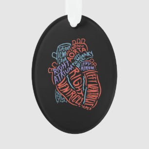 Hartspecialist Anatomie Doctor Medische biologie Ornament