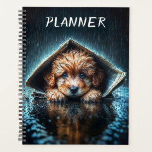 Hartverwarmende natte hond bij stormachtig weer planner